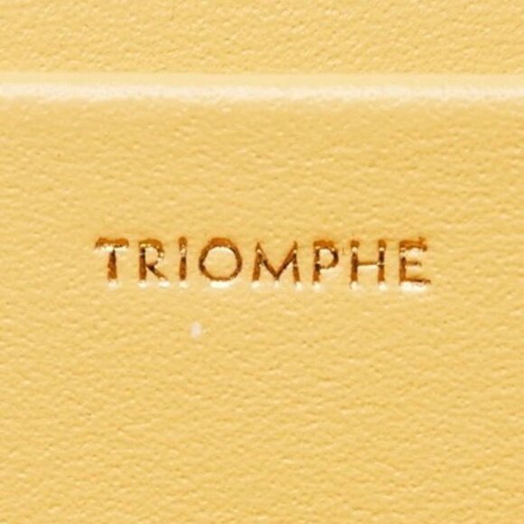 Celine Yellow Smooth Leather Triomphe Shoulder Bag - Picture 12 of 12